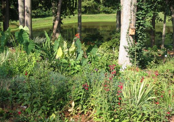 Pondside Garden