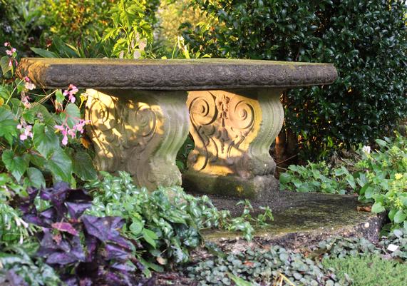 Bench in Shade