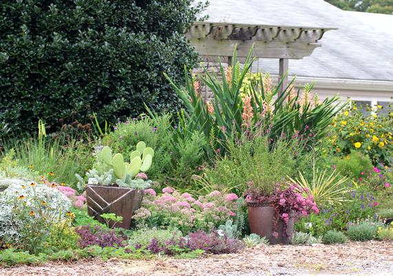 Sandy's Border in August