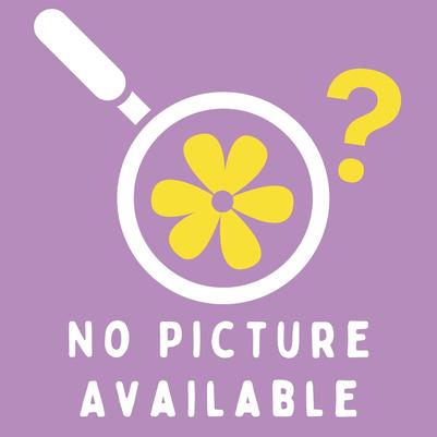 Paeonia Couronne D' Or